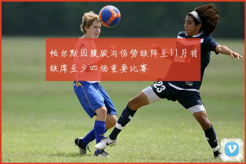 帕尔默因腹股沟伤势缺阵至11月将缺席至少四场重要比赛