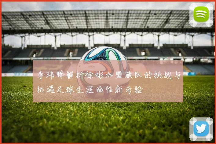 李玮锋解析徐彬加盟狼队的挑战与机遇足球生涯面临新考验