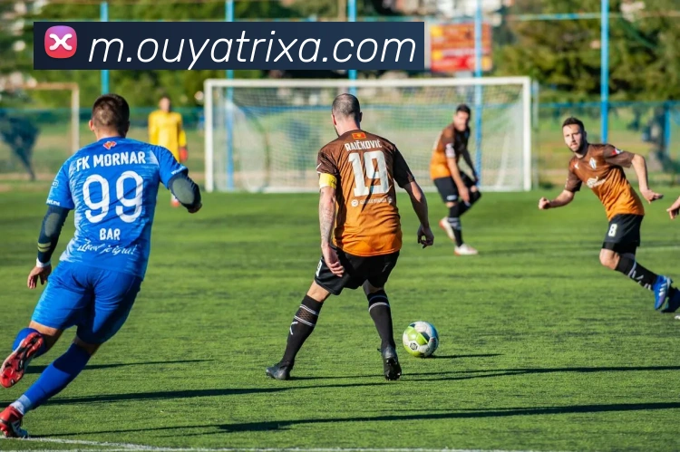 欧亚体育平台生态图